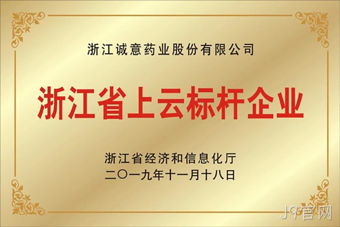 浙江省上云标◤杆企业 浙江省上云标✯✯杆企业